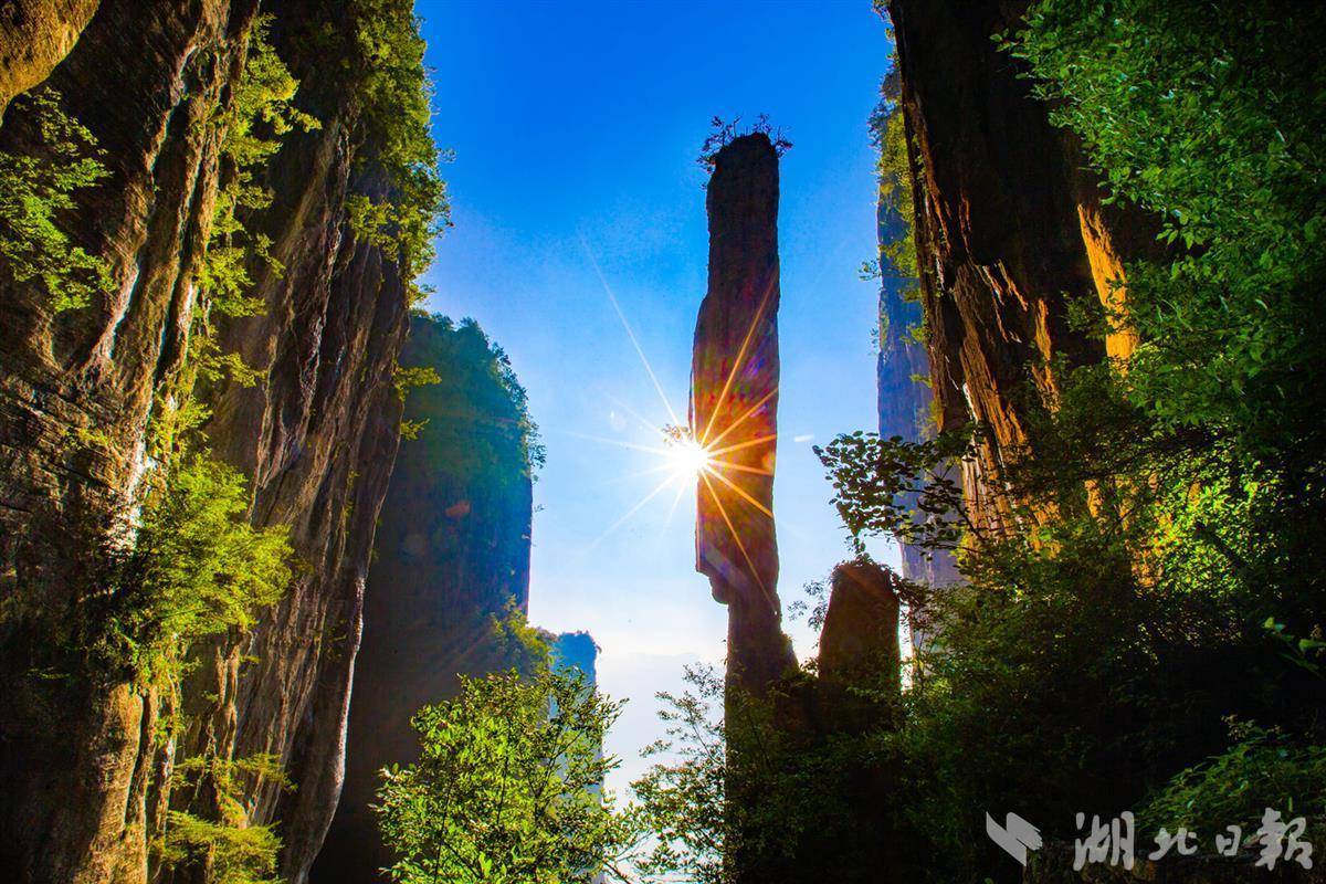 永利澳门有限公司